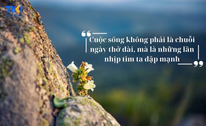 Suy nghĩ tích cực nhỏ nhất cũng có thể làm thay đổi cuộc sống