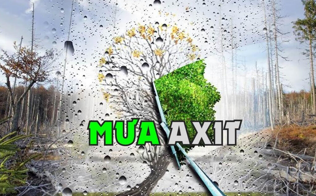 Mưa axit là hiện tượng hóa học hay vật lý? Gallery 2
