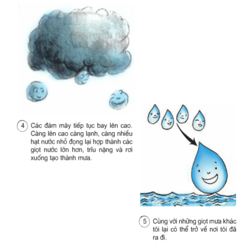 Mưa bắt nguồn từ đâu?