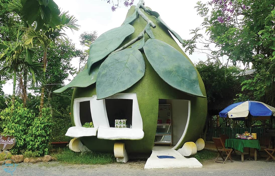 Vườn Bưởi Tân Triều: Đặc Sản Quả Bưởi Ngon Ngọt, Chất Lượng Cao Gallery 2