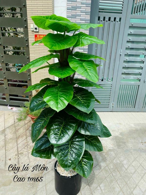 Cây Trầu Bà Giả: Lựa Chọn Hoàn Hảo Cho Không Gian Xanh Thật Sự Gallery 2
