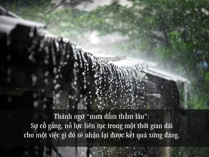 Mưa Dầm Thấm Lâu Là Gì?