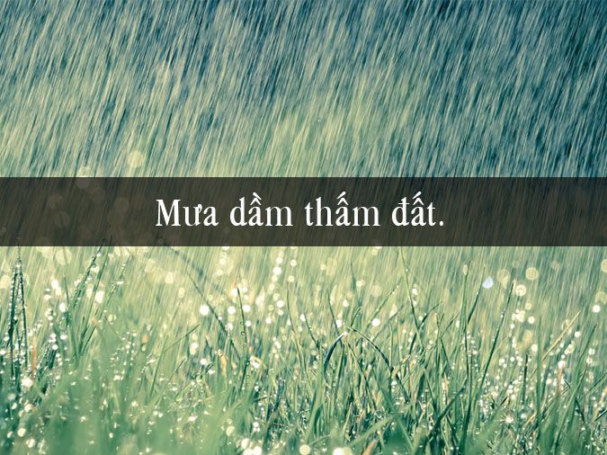 Mưa Dầm Thấm Lâu Là Gì? Gallery 2