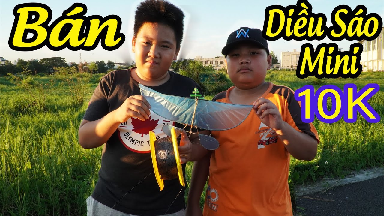 Mua Diều Sáo Nhỏ Ở Đâu?