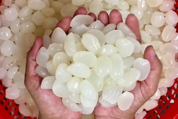 Mùa Hạt Đác Tháng Mấy?
