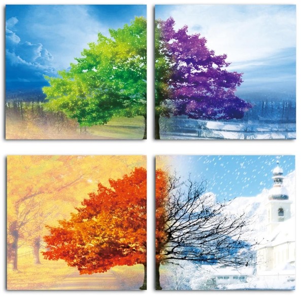Xuân Hạ Thu Đông: Bốn Mùa Kỳ Diệu Của Thiên Nhiên Gallery 2