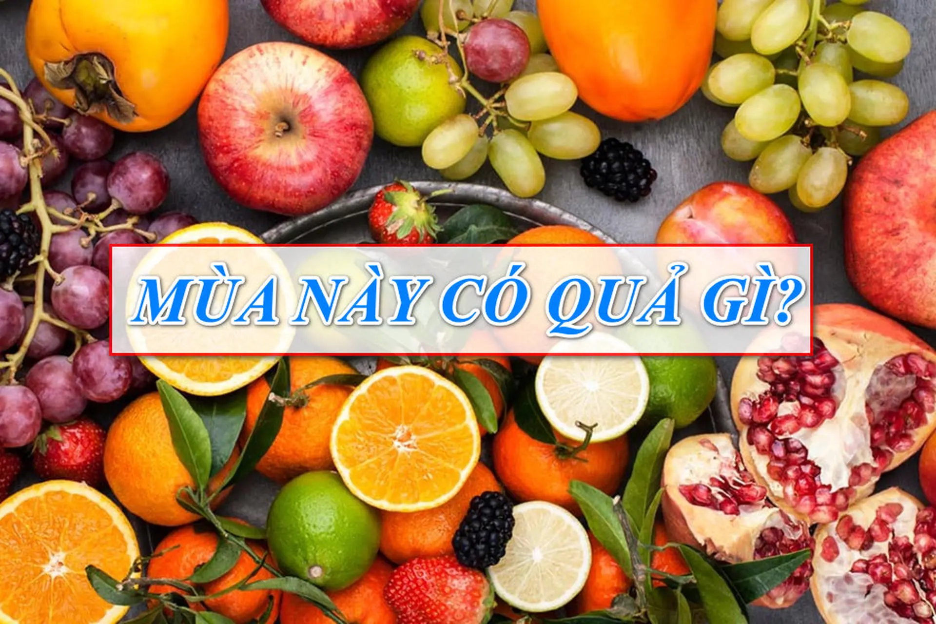 Mùa này là mùa trái cây gì?