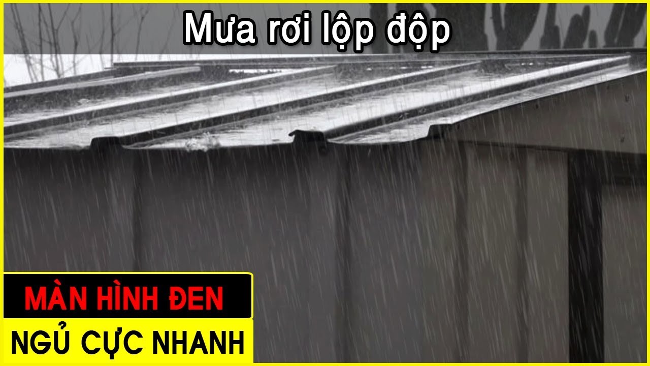 Mưa rơi lộp độp