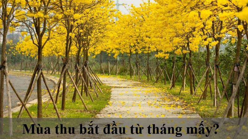 Tháng Mấy Là Mùa Thu? Gallery 2