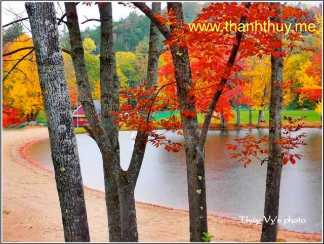 Mùa Thu Thưa Nắng Gió Mang Niềm Nhớ Gallery 2