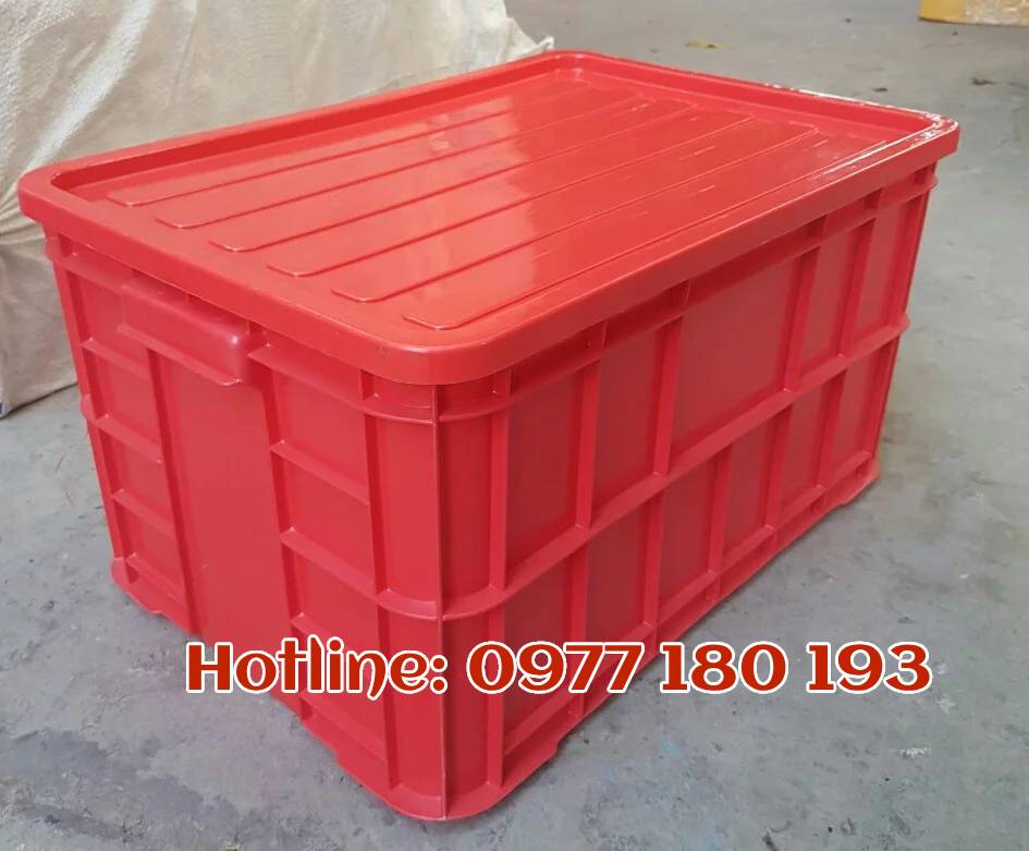 Thùng Nhựa Đựng Đồ Loại Lớn: Giải Pháp Lưu Trữ Hoàn Hảo Gallery 2