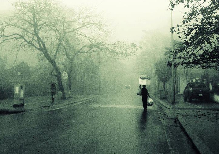 Dưới Những Con Mưa Gallery 2