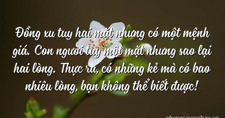 Có ai chỉ có một mình mà không ghét những cơn mưa? Gallery 1
