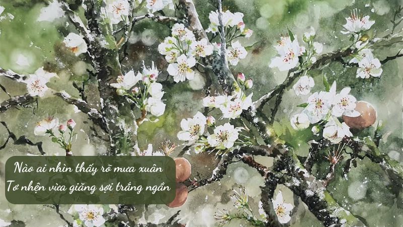 Mưa Xuân 2 Nguyễn Bính Gallery 2