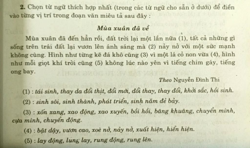 Mùa Xuân Đã Đến Hẳn Rồi
