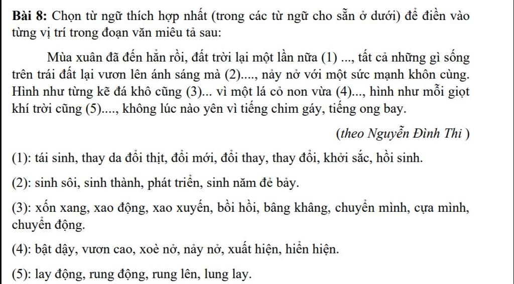 Mùa Xuân Đã Đến Hẳn Rồi Gallery 2
