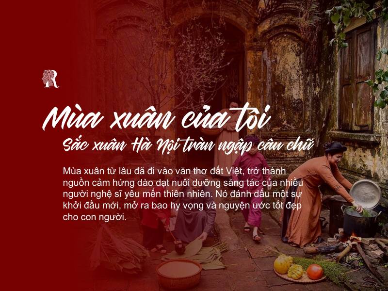 Đường Lúc Xuân Đến Tôi Nhớ Người Gallery 1