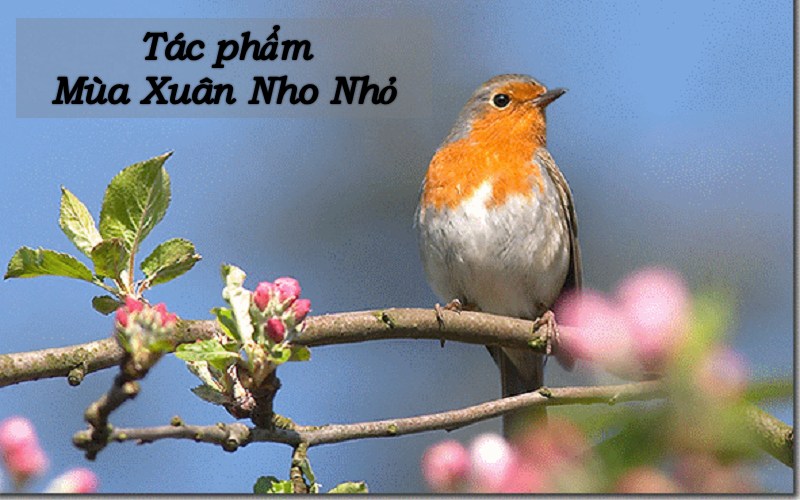 Tác giả Mùa Xuân Nho Nhỏ Gallery 2