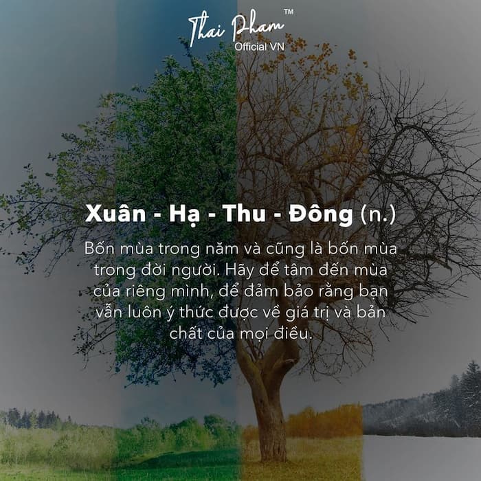 Xuân Hạ Thu Đông: Bốn Mùa Kỳ Diệu Của Thiên Nhiên Gallery 1