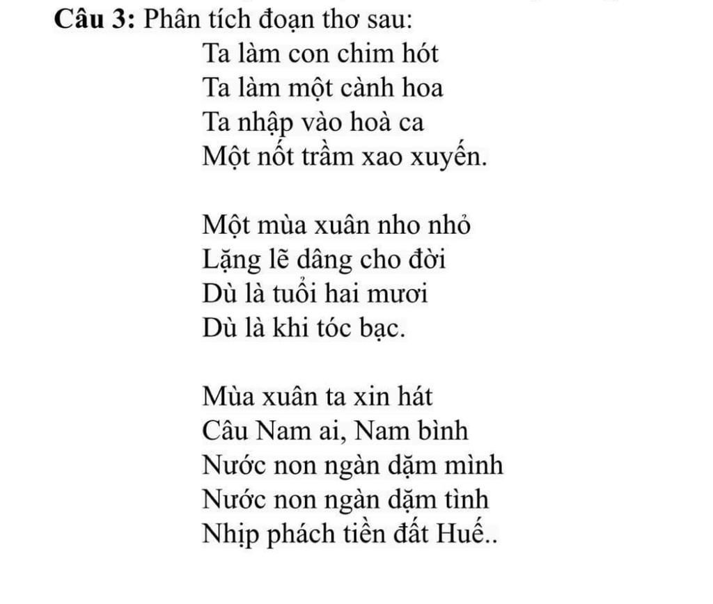 Mùa Xuân Ta Xin Hát