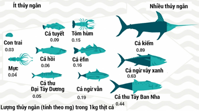 Tác hại của cá ngừ Gallery 1