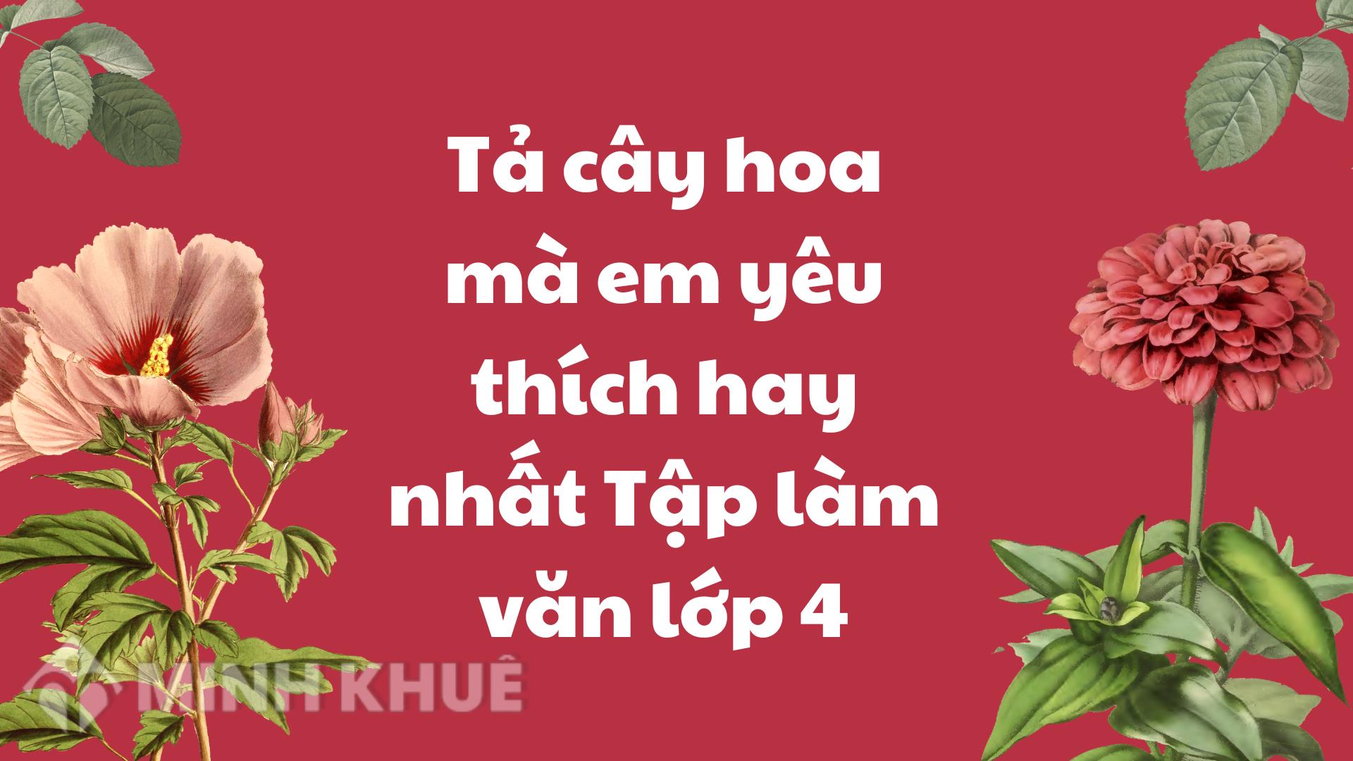 Tả cây hoa mà em yêu thích lớp 4 Gallery 2
