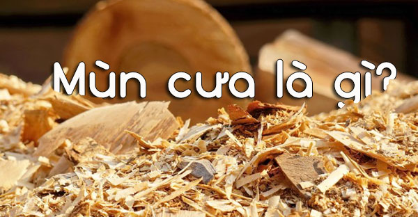 Mùn cưa để làm gì?