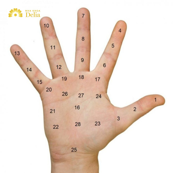 Mụn Ruồi Trong Lòng Bàn Tay: Ý Nghĩa Và Những Điều Cần Biết