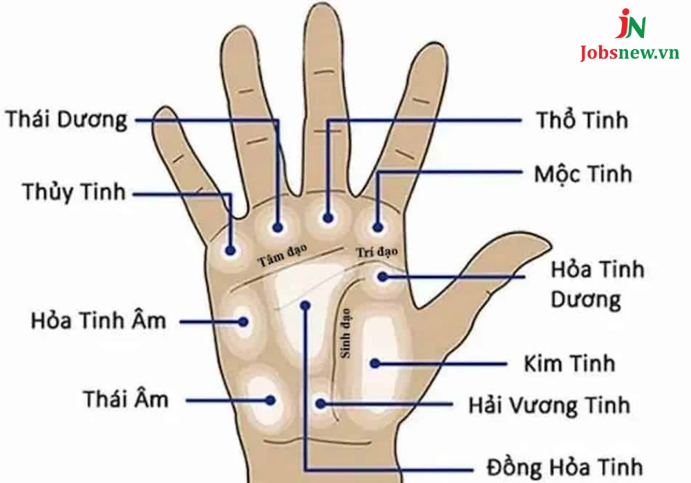 Mụn Ruồi Trong Lòng Bàn Tay: Ý Nghĩa Và Những Điều Cần Biết Gallery 1