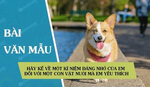 Tả Con Vật Em Yêu Thích Gallery 2