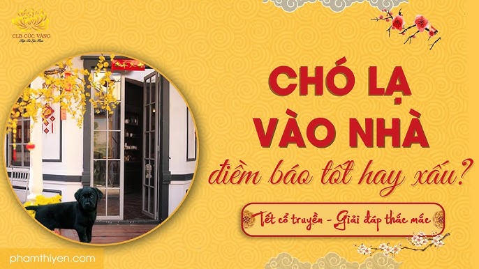 Mùng 1 Tết Chó Vào Nhà Có Tốt Không?
