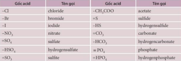 Muối là gì hóa 8
