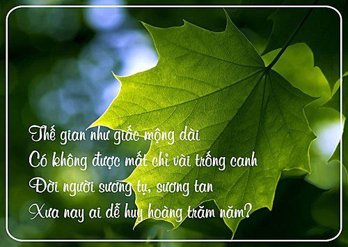 Muôn Màu Muôn Vẻ Gallery 2
