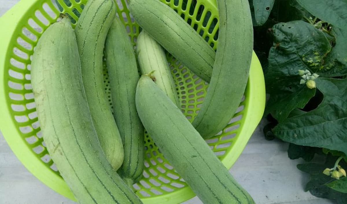 Mướt Mát Là Gì?
