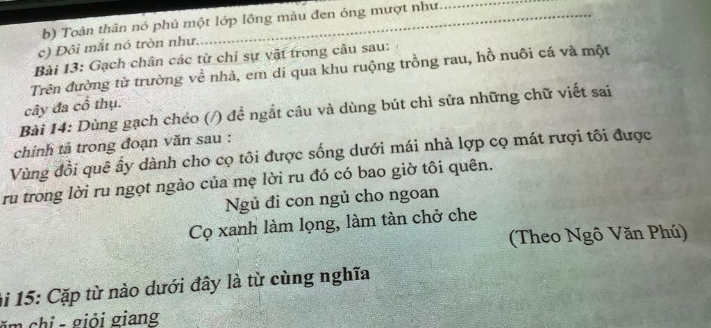 Mượt như gì? Gallery 1