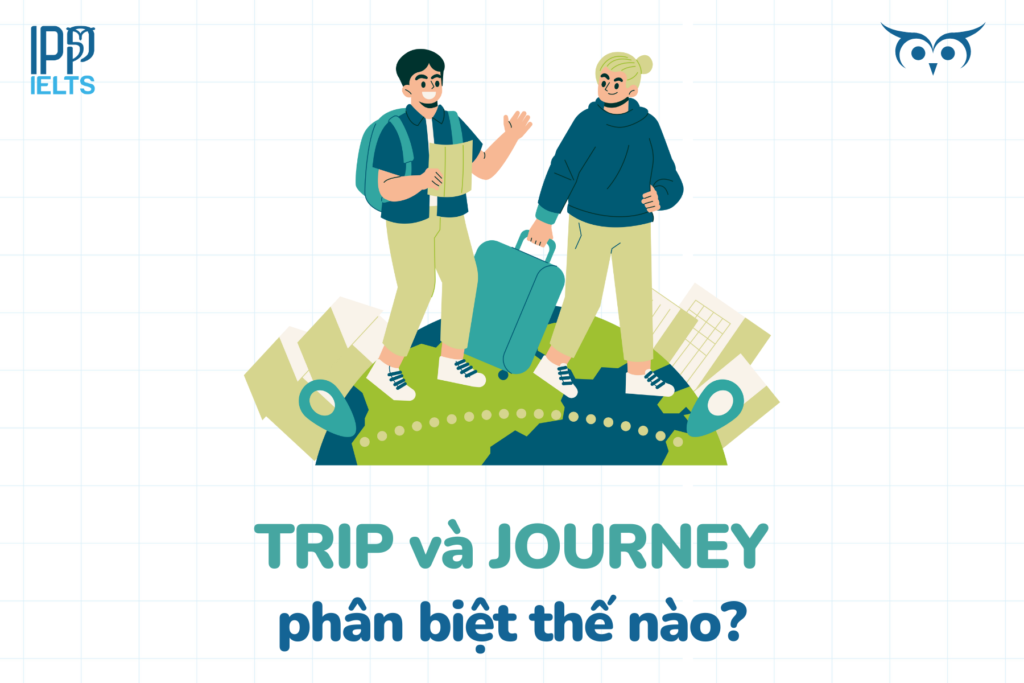 My Trip Là Gì?