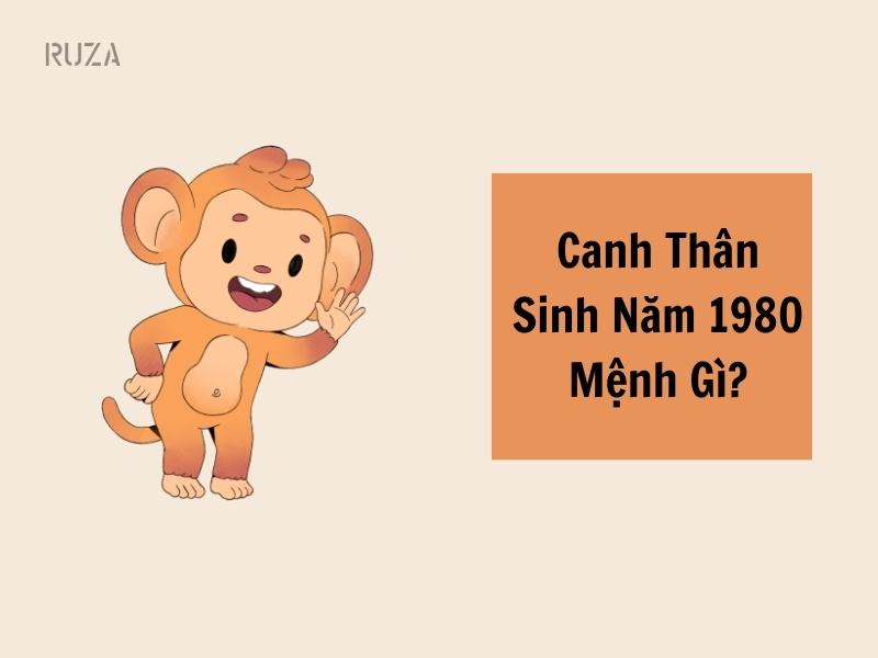 Năm 1980 tuổi con gì? Gallery 1