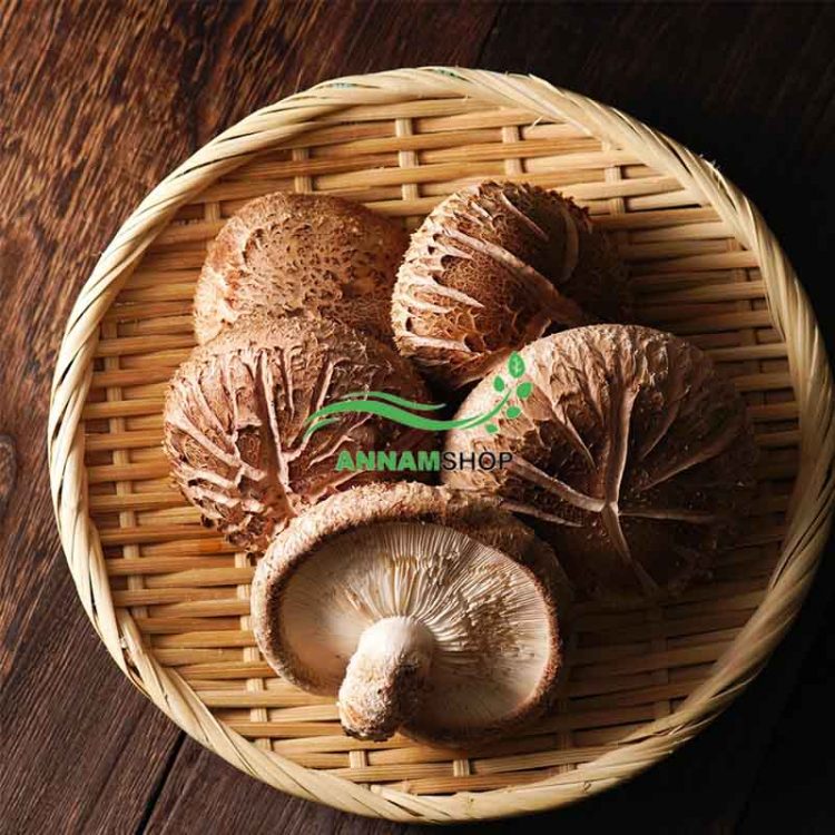 Shiitake Mushrooms: A Comprehensive Guide
