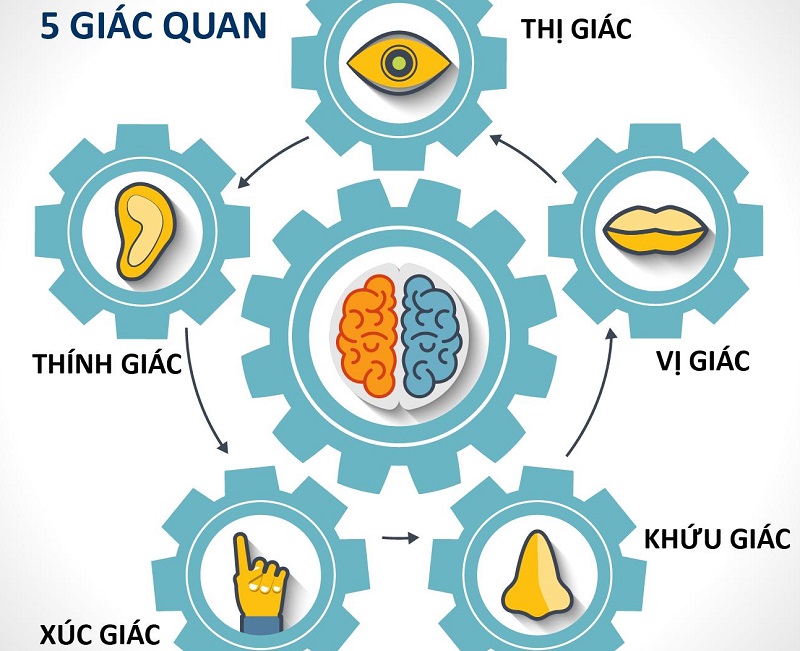Y Nhĩ Căn Giác La Thị Gallery 1
