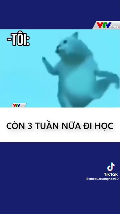Năm học mới đã tới chợt nghe lòng phơi phới Gallery 2