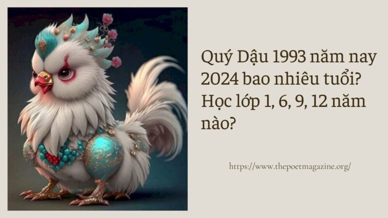 Sinh năm 1993 học lớp 9 năm nào? Gallery 1