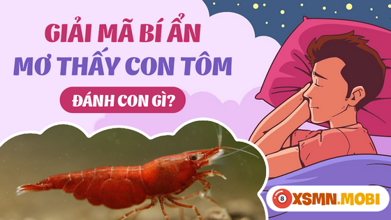 Nằm mơ bắt được nhiều tôm tép đánh con gì?