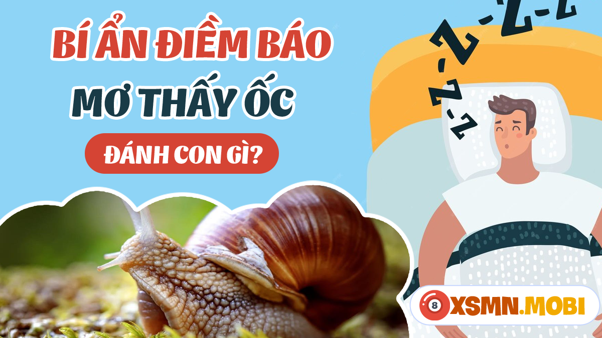 Nằm mơ đi bắt ốc đánh con gì?