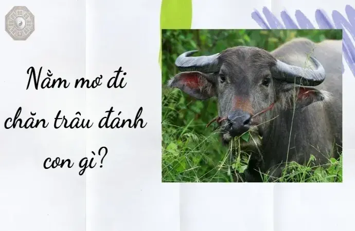 Nằm mơ đi chăn trâu đánh đề con gì? Gallery 2