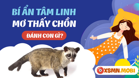 Nằm mơ thấy con chồn đánh số mấy?