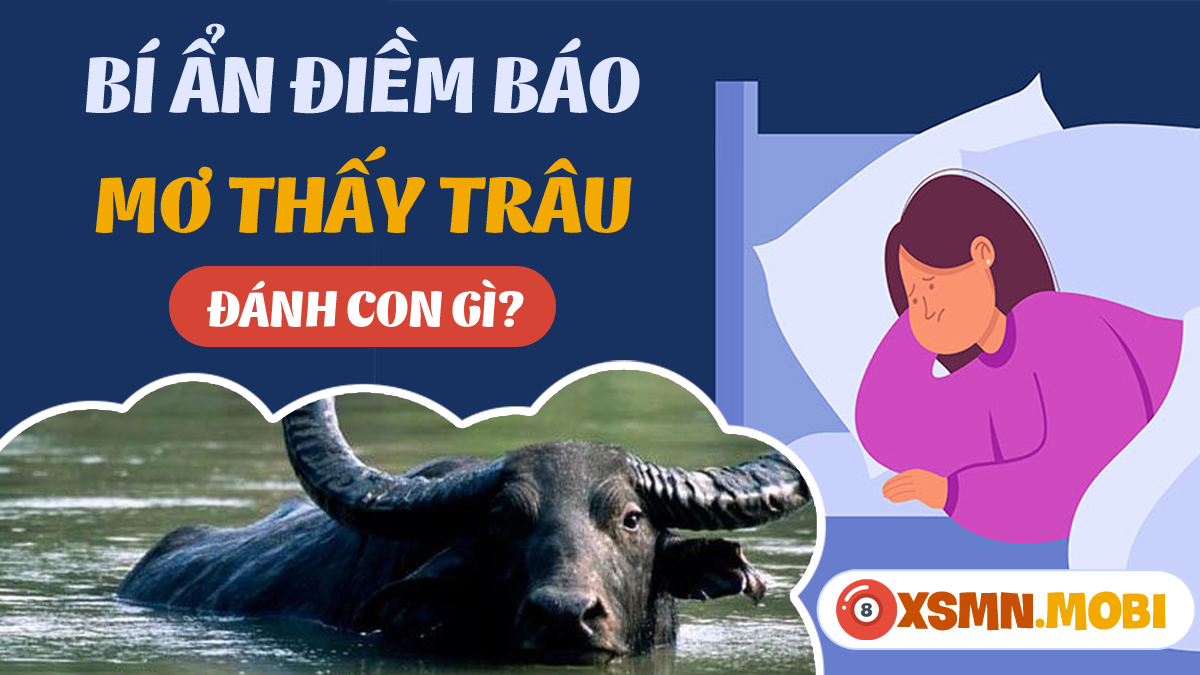Nằm Mơ Thấy Làm Thịt Trâu Đánh Con Gì?