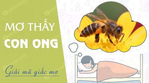 Nằm Mơ Thấy Lấy Mật Ong Đánh Con Gì? Gallery 2