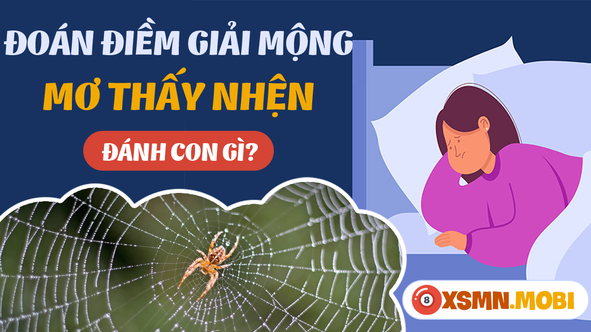 Nằm Mơ Thấy Nhện Đánh Con Gì? Gallery 2