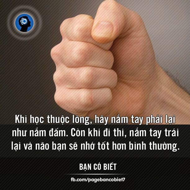 Nắm Tay Phải Khi Học Thuộc Lòng