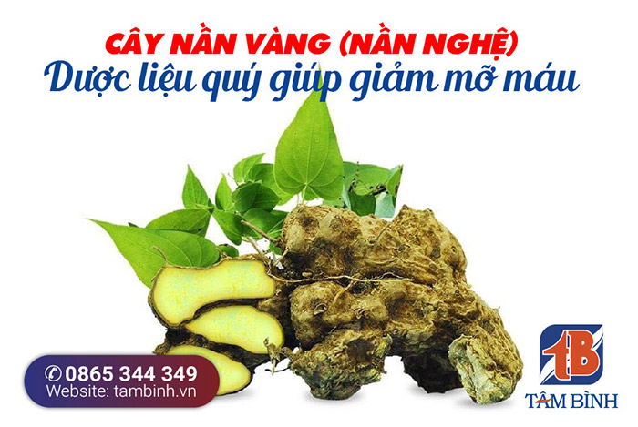Nần là gì?